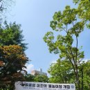 수내동 물놀이장 이미지