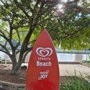 야자수 나라에서 만난 우리 | 호주 🇦🇺여행 1일차 (1) / 10시간의 비행을 마치고 만난 호주 첫인상 그리고 캥거루, 코알라와의 만남...