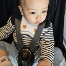 H1050 | 내돈내산 휴대용유모차 송중기 싸이벡스 코야 5개월 사용후기