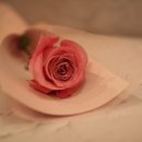 송이와다발 이미지
