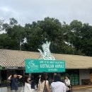 겟리얼마켓 | [시드니 페더데일 동물원] 마이리얼트립 예약 | PJ 페더데일 투어 후기 | 페더데일 단일 투어