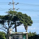 희진주유소 이미지