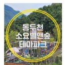 10.27~28 일박. 소요별&숲. 캠핑. 오지재 단풍길 산책. 자반고 점심. 연천국화축제. 캠핑. 고구마캐기. 이미지