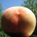 감곡농장 이미지