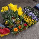 적벽강가든 이미지