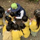 달천 유아숲체험원 이미지