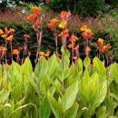 춘길농장 이미지