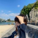 파란동물병원 | 🏝️오키오키오키나와 여행후기🪸