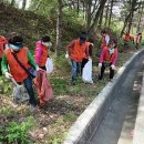 남현동-28 이미지