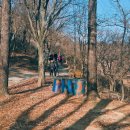 이안숲속야영장 이미지