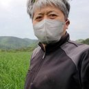 밀밭농장 이미지