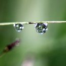 유명산캠핑장 이미지