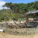 청도자연병원 이미지