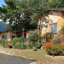 소나무흙집민박 이미지