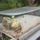 문경오미자권역마을 이미지