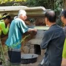 개집 | 봉토(封土) 개집 10, 사용후기