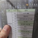 광주리 | 사랑 광주리 2025 심리치유캠프 후기