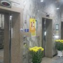 안양벤쳐텔 이미지