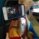 순동목장 | [강릉,양떼목장] 대구여행자클럽! 으로 다녀온 강원도 여행 ~.~