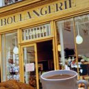 수 동물병원 이미지