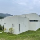 스테이 호은 이미지