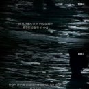 도미니크 티스토리