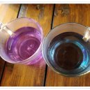 (주)투게더 이미지