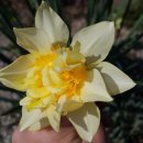 도원리유원지 이미지