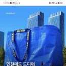 별푸른밤