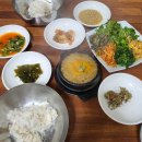 두릿골 | 클라이밍 일일 강습 후기 대구 손세동 클라이밍 두류