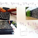 부산 혜성학교 이미지