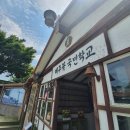 메주꽃이랑 이미지