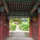 영주 부석사 오불회 괘불탱 | 영주 가볼만한 곳 아름다운 절 부석사무량수전(2025.9.15)