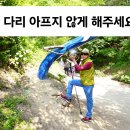 진천 초평호 미르309 출렁다리 이미지