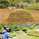 강원장의사 이미지