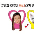써나헤어 이미지