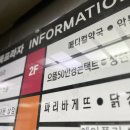 안경 2개 6만 원대에 맞추고 온 으뜸50안경 용인상현점 솔직 후기 (수지안경, 상현동안경 추천)