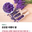 유일하이진