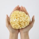 라벤더 | 9개월 아기 목욕 필수템 천연해면 베블 라벤더 후기