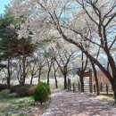 은대근린공원 이미지