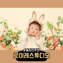 로이레스튜디오 이미지