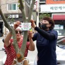 동말 이미지