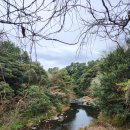 하영올레 1코스 | 제주도 서귀포 여행 제주 올레길 코스추천 하영올레 1코스 매화명소 칠십리시공원