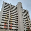 노원로(동측) 이미지