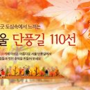 서울단풍길 티스토리