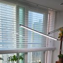 플랜테리어 홈가드닝 | 풀나옴 LED 식물조명 플랜테리어 필수템 사용후기