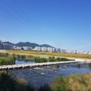 남천둔치1 이미지