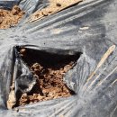 윤호농장 이미지