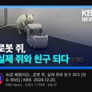 회사원 이미지