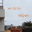 애월숲에101 이미지